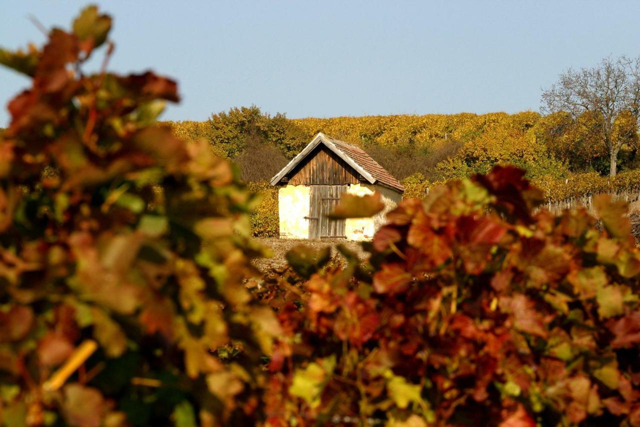 Weingut Breitenfelder Рец Екстер'єр фото