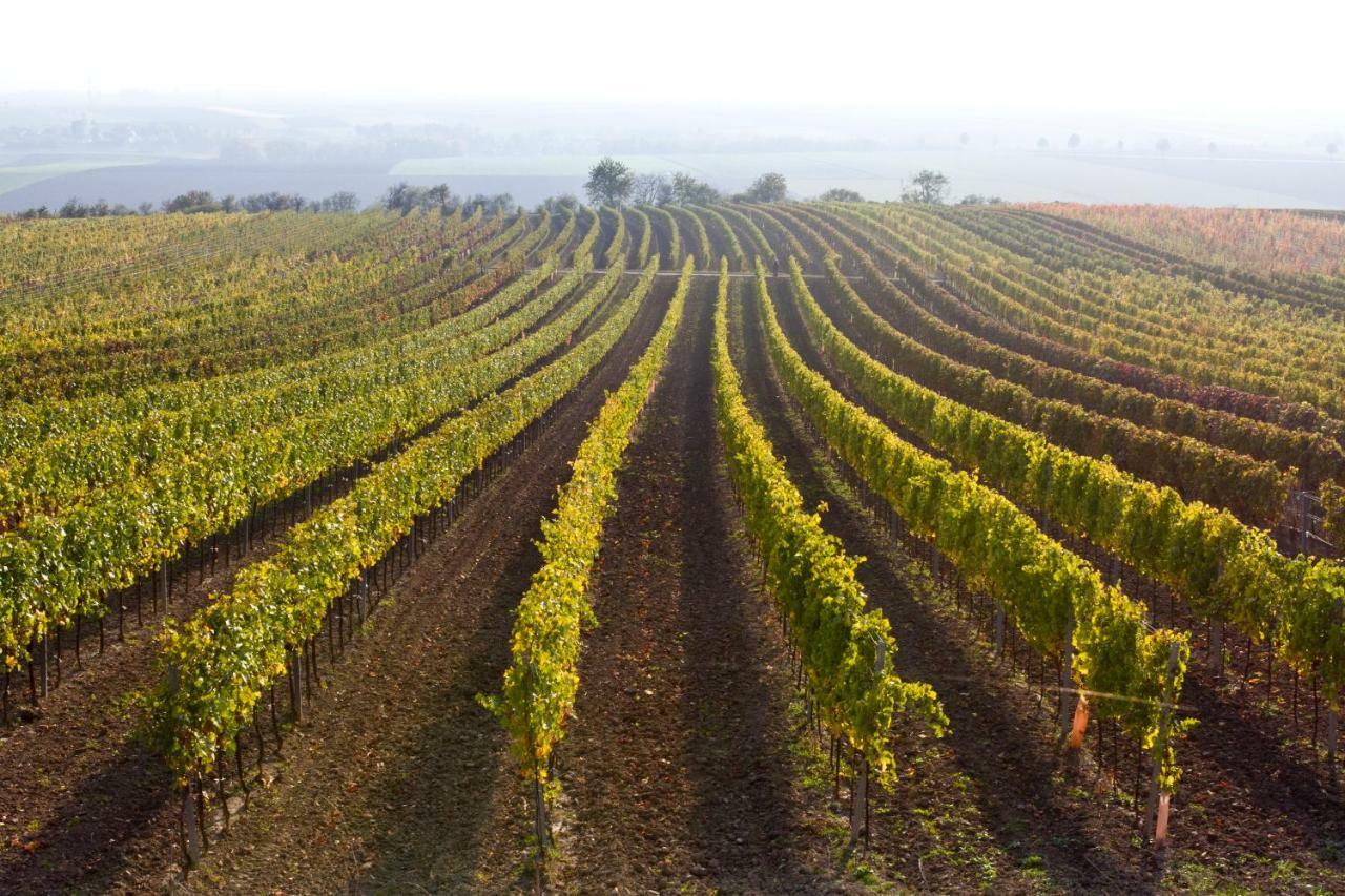 Weingut Breitenfelder Рец Екстер'єр фото